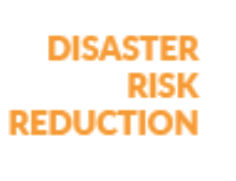 link to drr training