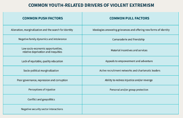 Common Youth-Related Drivers of Violent Extremism